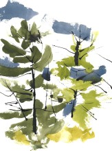 Sketch 1 - Trees - Contemporary Art by K Rattray, Haliburton, Ontario, Canada