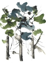 Sketch 5 - Trees - Contemporary Art by K Rattray, Haliburton, Ontario, Canada